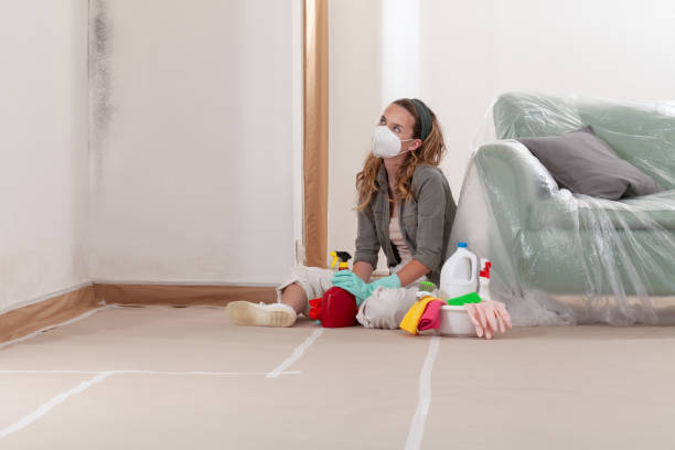 Reliable Black Mold Removal contractor in Chester, PA by WQB Mold Removal